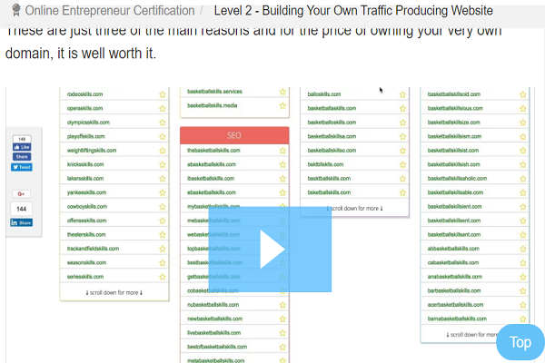 Building your own traffic producing website